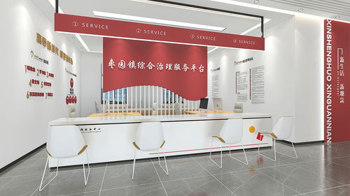 镇党群服务中心设计方案设计服务说明