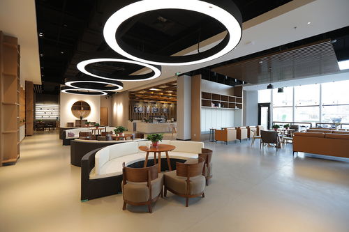 邯郸漫生快活体验店设计服务 融合美学与功能的创新空间之旅